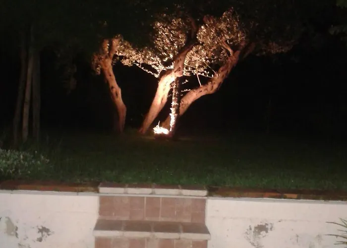 Vicino Al Mare Sulla Costa Dei Trabocchi *