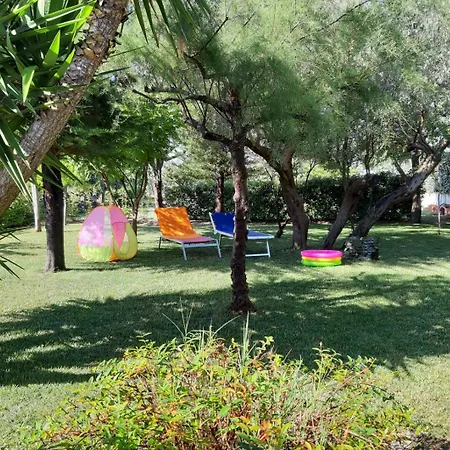 Vicino Al Mare Sulla Costa Dei Trabocchi *