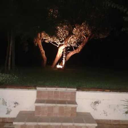 Vicino Al Mare Sulla Costa Dei Trabocchi *